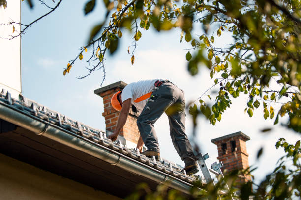 Best Metal Roofing Contractor  in Sandy Springs, SC